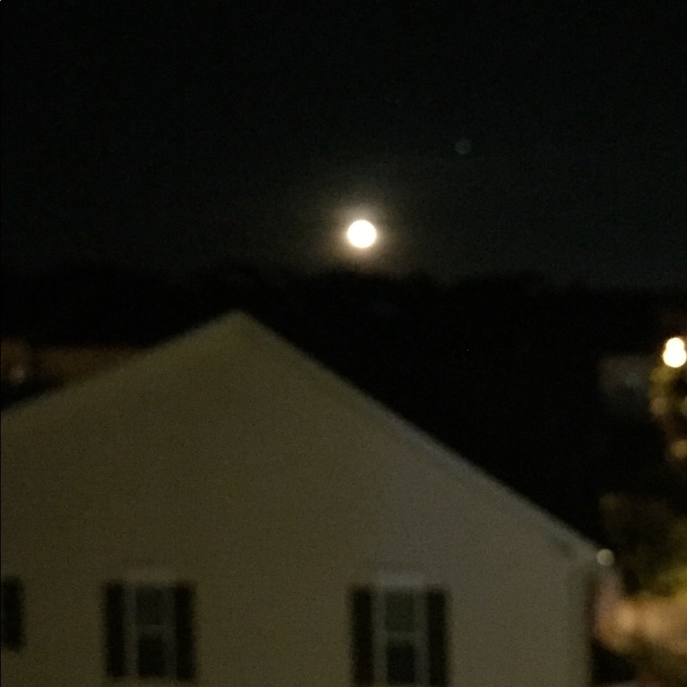 Meet your Posher, Koko